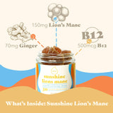 Honey Drops - Sunshine Lion's Mane | Mushroom Honey Gummy | Energy & Focus: 30 Count Jar (Standard Retail)