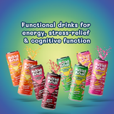 Melting Forest - Adaptogenic Mushroom Energy Drink Variety Pack - 12-Pack