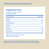 Equip Foods - Prime Protein: Vanilla