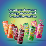 Melting Forest - Adaptogenic Mushroom Energy Drink Variety Pack - 12-Pack