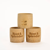 Root and Splendor - Bamboo Measuring Cup